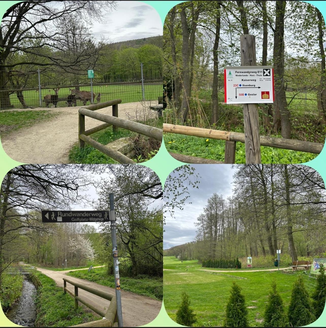 Apartamento Kleine Auszeit Am Wildgehege Bad Harzburg Exterior foto